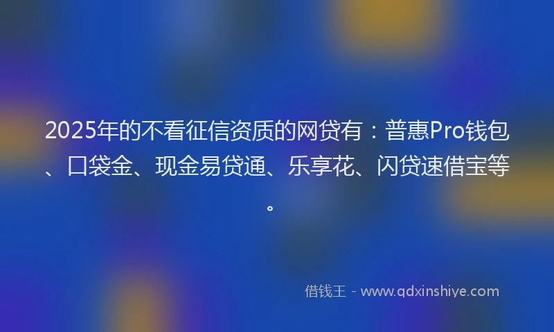 2025年的不看征信资质的网贷有：普惠Pro钱包、口袋金、现金易贷通、乐享花、闪贷速借宝等。