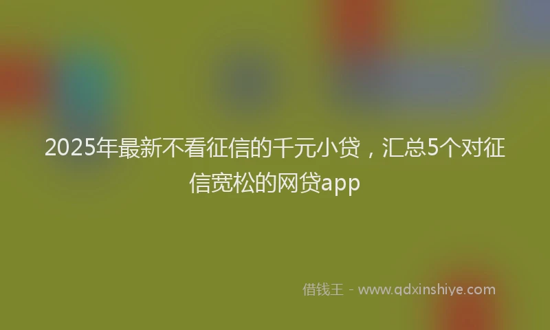 2025年最新不看征信的千元小贷，汇总5个对征信宽松的网贷app