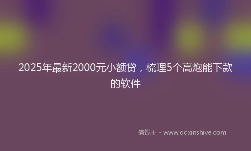2025年最新2000元小额贷，梳理5个高炮能下款的软件