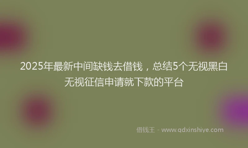 2025年最新中间缺钱去借钱，总结5个无视黑白无视征信申请就下款的平台