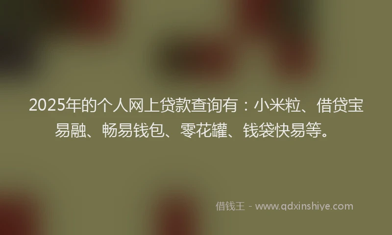 2025年的个人网上贷款查询有：小米粒、借贷宝易融、畅易钱包、零花罐、钱袋快易等。