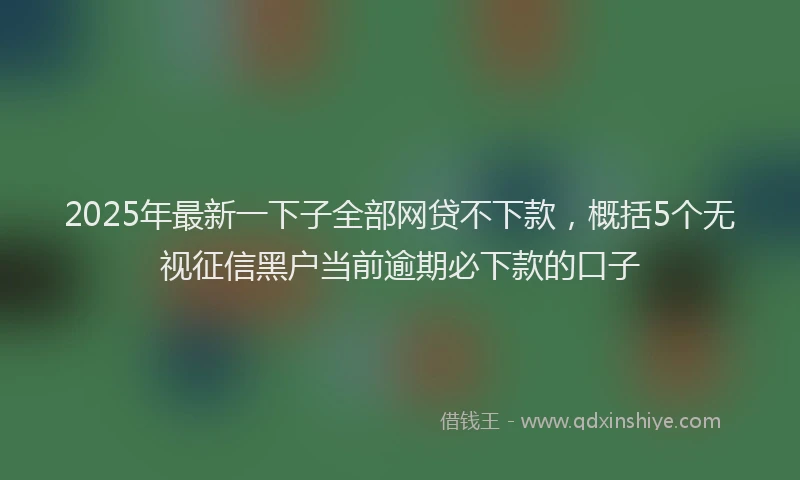 2025年最新一下子全部网贷不下款，概括5个无视征信黑户当前逾期必下款的口子