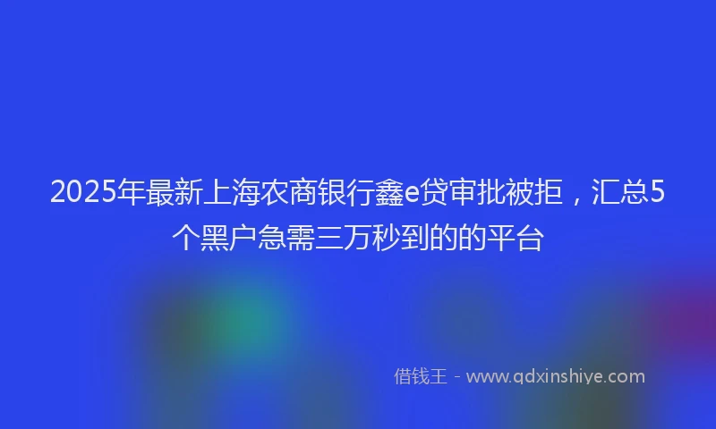 2025年最新上海农商银行鑫e贷审批被拒，汇总5个黑户急需三万秒到的的平台