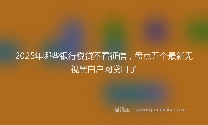 2025年哪些银行税贷不看征信，盘点五个最新无视黑白户网贷口子
