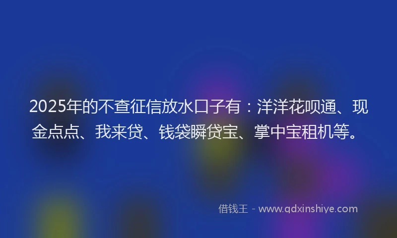 2025年的不查征信放水口子有：洋洋花呗通、现金点点、我来贷、钱袋瞬贷宝、掌中宝租机等。