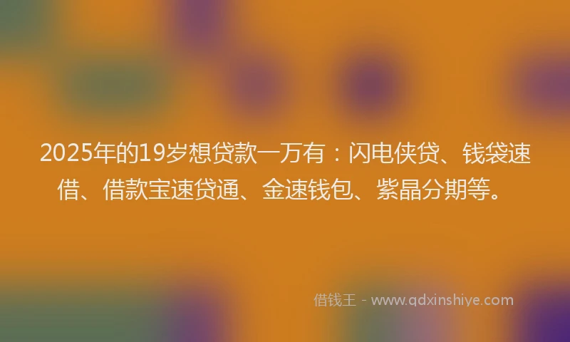 2025年的19岁想贷款一万有：闪电侠贷、钱袋速借、借款宝速贷通、金速钱包、紫晶分期等。