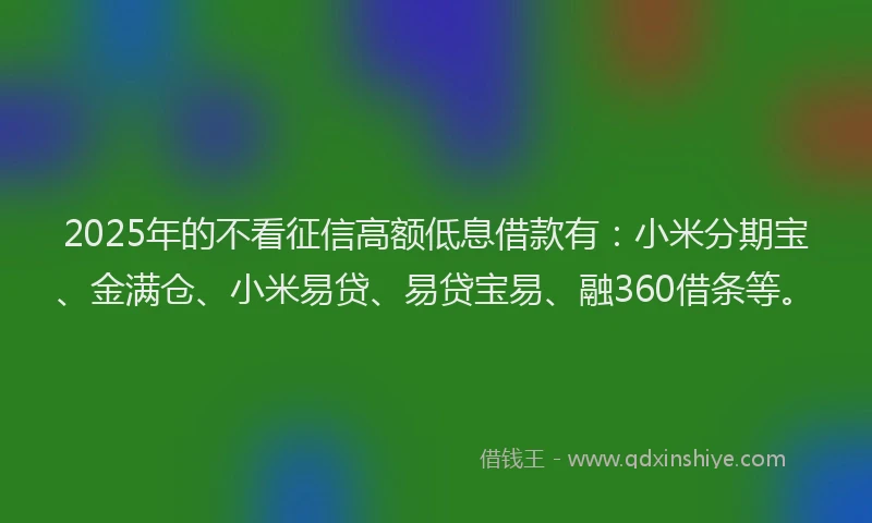 2025年的不看征信高额低息借款有:小米分期宝、金满仓、小米易贷、易贷宝易、融360借条等。