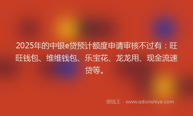 2025年的中银e贷预计额度申请审核不过有：旺旺钱包、维维钱包、乐宝花、龙龙用、现金流速贷等。