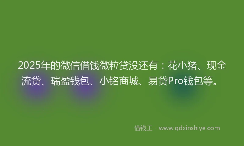2025年的微信借钱微粒贷没还有：花小猪、现金流贷、瑞盈钱包、小铭商城、易贷Pro钱包等。
