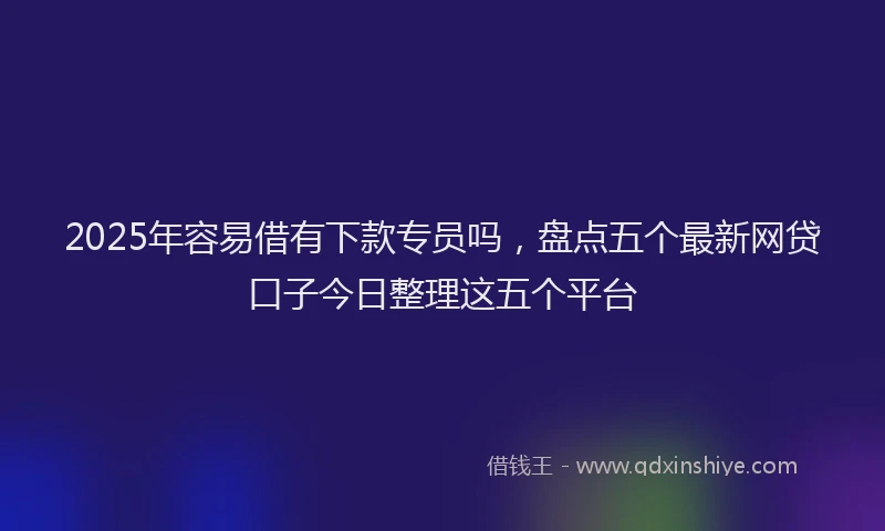 2025年容易借有下款专员吗，盘点五个最新网贷口子今日整理这五个平台