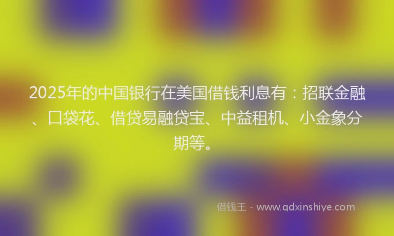 2025年的中国银行在美国借钱利息有：招联金融、口袋花、借贷易融贷宝、中益租机、小金象分期等。