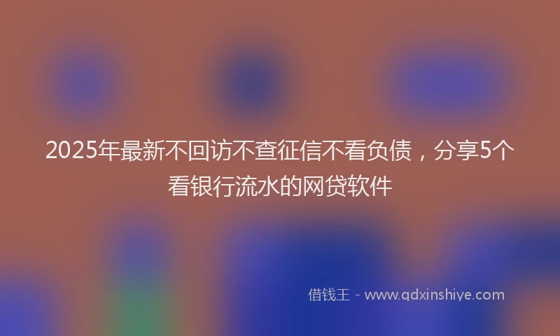 2025年最新不回访不查征信不看负债，分享5个看银行流水的网贷软件