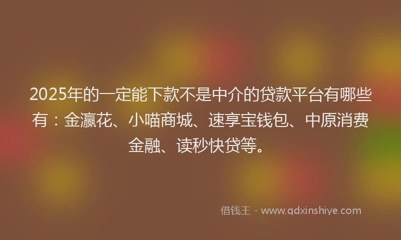 2025年的一定能下款不是中介的贷款平台有哪些有：金瀛花、小喵商城、速享宝钱包、中原消费金融、读秒快贷等。
