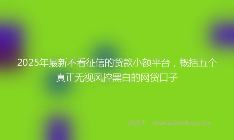 2025年最新不看征信的贷款小额平台，概括五个真正无视风控黑白的网贷口子