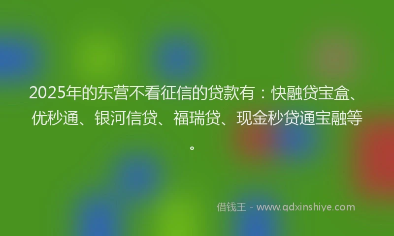 2025年的东营不看征信的贷款有：快融贷宝盒、优秒通、银河信贷、福瑞贷、现金秒贷通宝融等。