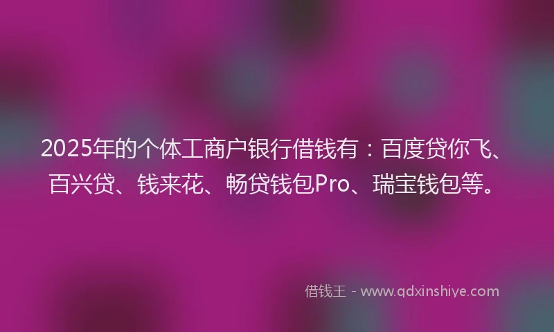2025年的个体工商户银行借钱有：百度贷你飞、百兴贷、钱来花、畅贷钱包Pro、瑞宝钱包等。