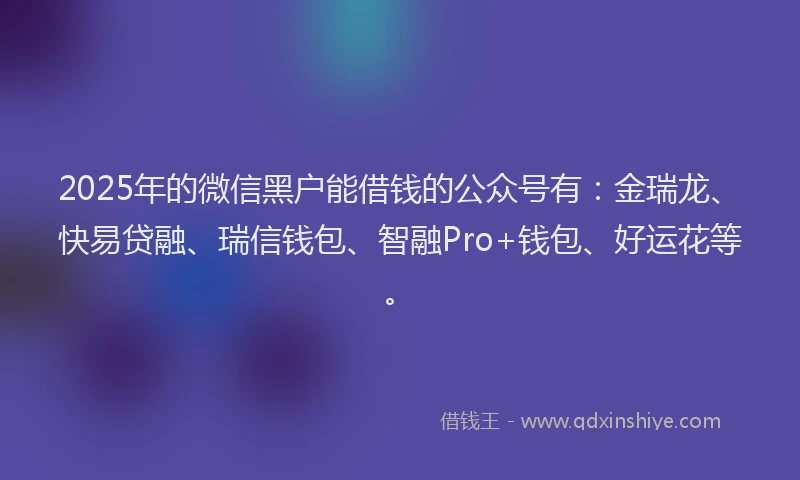 2025年的微信黑户能借钱的公众号有：金瑞龙、快易贷融、瑞信钱包、智融Pro+钱包、好运花等。