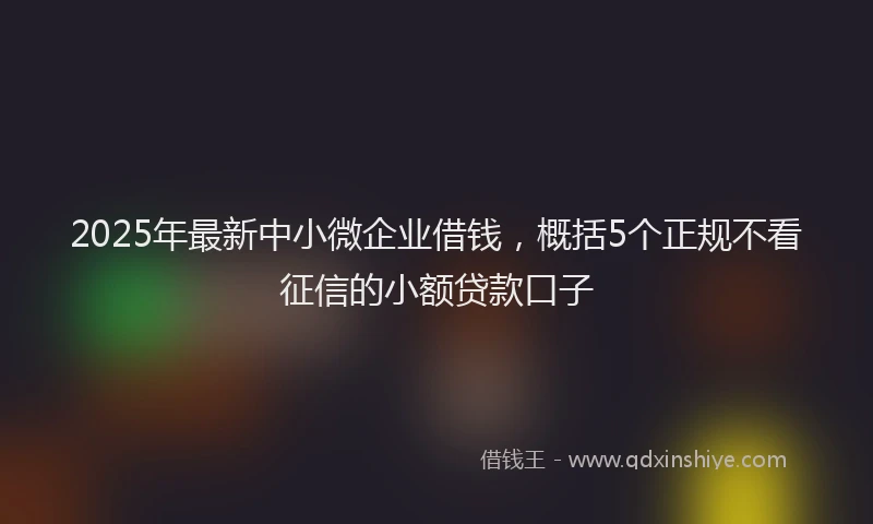 2025年最新中小微企业借钱，概括5个正规不看征信的小额贷款口子