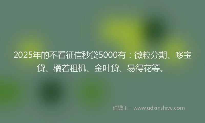 2025年的不看征信秒贷5000有：微粒分期、哆宝贷、橘若租机、金叶贷、易得花等。