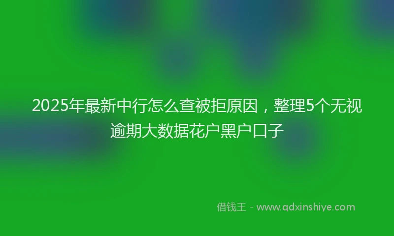 2025年最新中行怎么查被拒原因，整理5个无视逾期大数据花户黑户口子