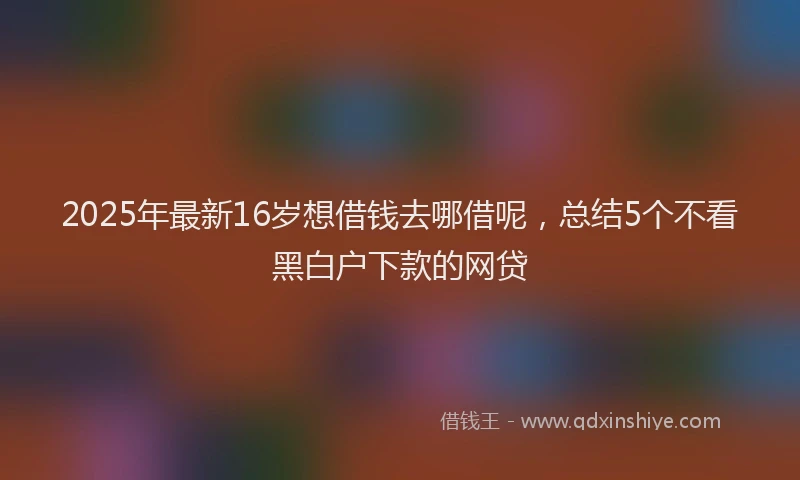 2025年最新16岁想借钱去哪借呢，总结5个不看黑白户下款的网贷