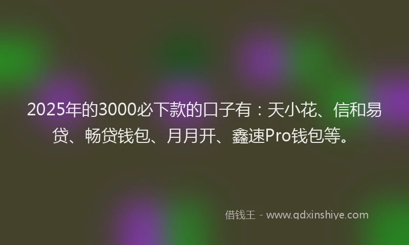 2025年的3000必下款的口子有：天小花、信和易贷、畅贷钱包、月月开、鑫速Pro钱包等。