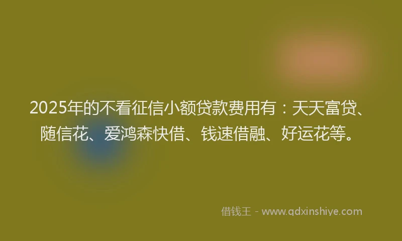 2025年的不看征信小额贷款费用有：天天富贷、随信花、爱鸿森快借、钱速借融、好运花等。