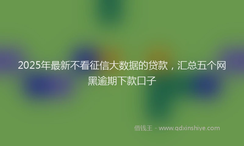 2025年最新不看征信大数据的贷款，汇总五个网黑逾期下款口子