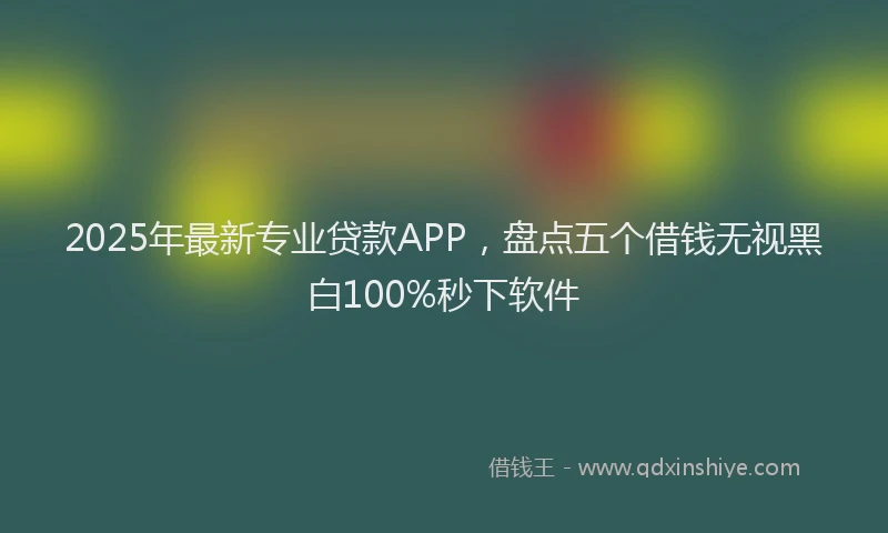2025年最新专业贷款APP，盘点五个借钱无视黑白100%秒下软件