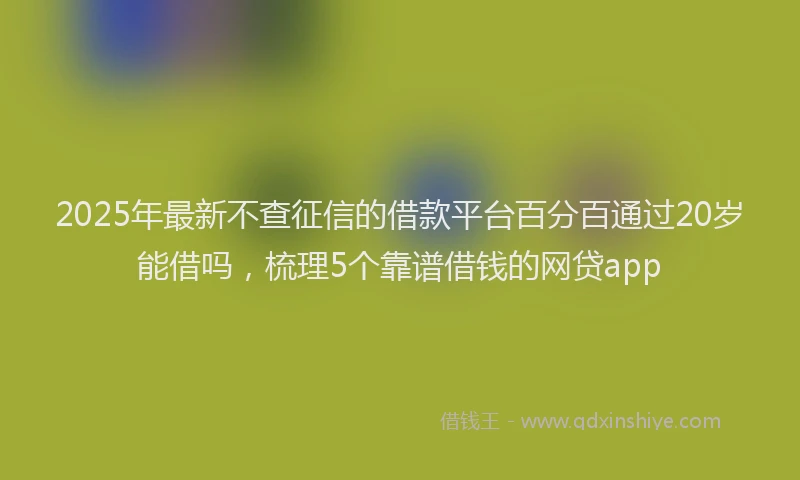 2025年最新不查征信的借款平台百分百通过20岁能借吗，梳理5个靠谱借钱的网贷app