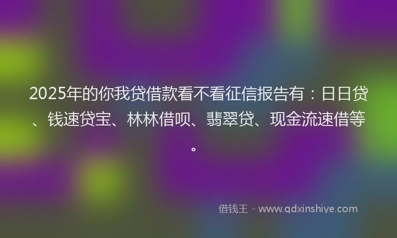 2025年的你我贷借款看不看征信报告有：日日贷、钱速贷宝、林林借呗、翡翠贷、现金流速借等。