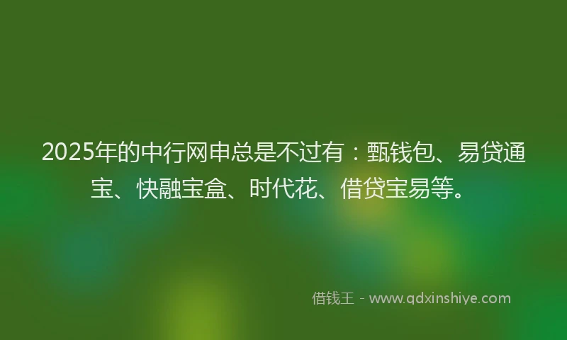 2025年的中行网申总是不过有：甄钱包、易贷通宝、快融宝盒、时代花、借贷宝易等。