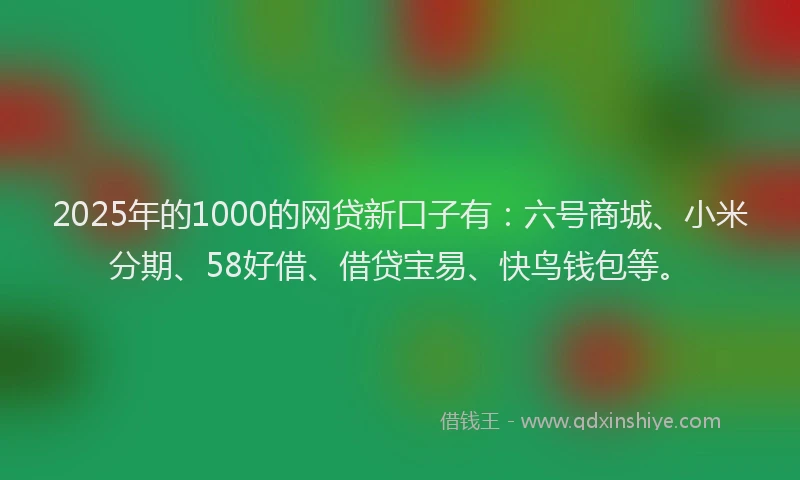 2025年的1000的网贷新口子有：六号商城、小米分期、58好借、借贷宝易、快鸟钱包等。