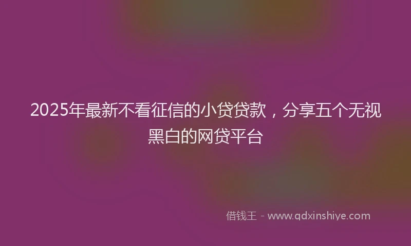 2025年最新不看征信的小贷贷款，分享五个无视黑白的网贷平台