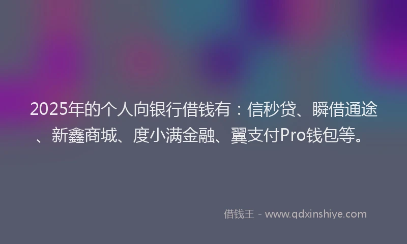 2025年的个人向银行借钱有：信秒贷、瞬借通途、新鑫商城、度小满金融、翼支付Pro钱包等。