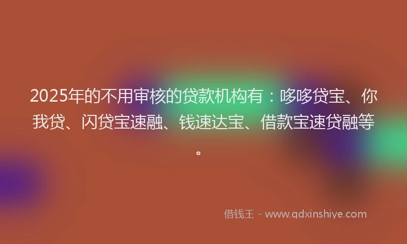 2025年的不用审核的贷款机构有：哆哆贷宝、你我贷、闪贷宝速融、钱速达宝、借款宝速贷融等。
