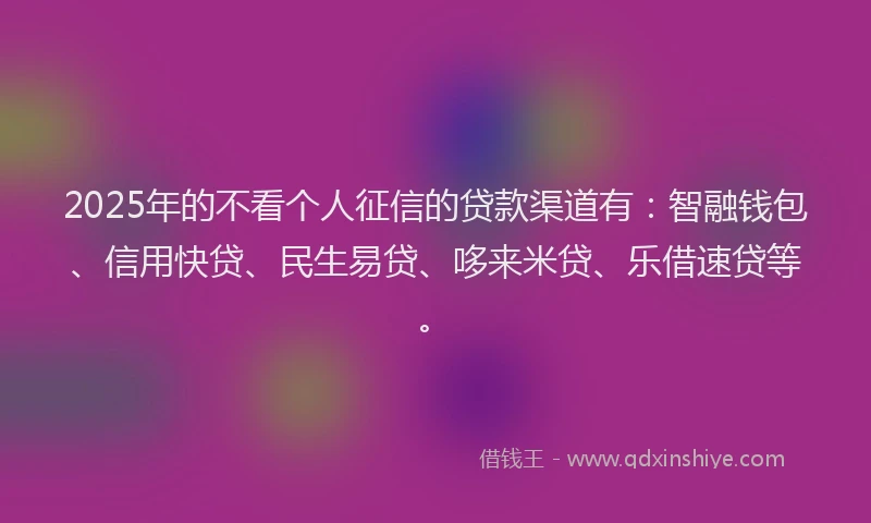 2025年的不看个人征信的贷款渠道有：智融钱包、信用快贷、民生易贷、哆来米贷、乐借速贷等。