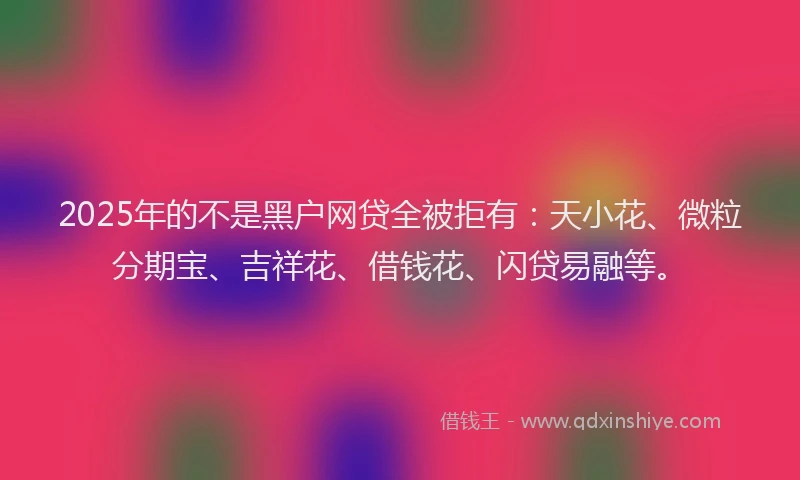 2025年的不是黑户网贷全被拒有：天小花、微粒分期宝、吉祥花、借钱花、闪贷易融等。