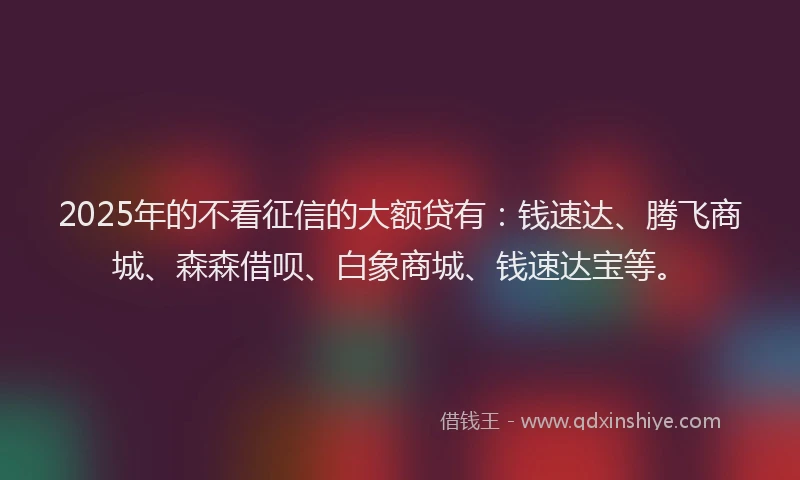 2025年的不看征信的大额贷有：钱速达、腾飞商城、森森借呗、白象商城、钱速达宝等。