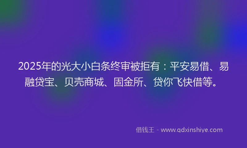 2025年的光大小白条终审被拒有：平安易借、易融贷宝、贝壳商城、固金所、贷你飞快借等。