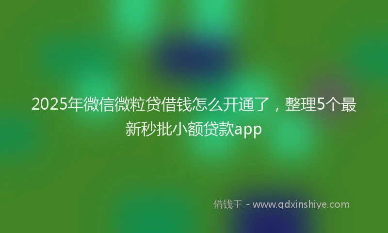 2025年微信微粒贷借钱怎么开通了，整理5个最新秒批小额贷款app