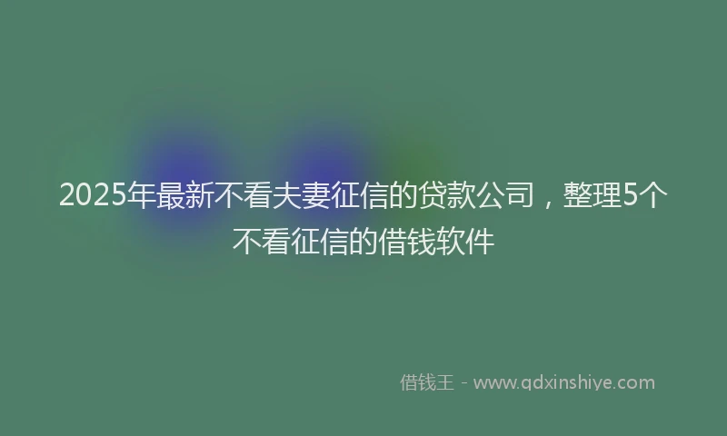 2025年最新不看夫妻征信的贷款公司，整理5个不看征信的借钱软件