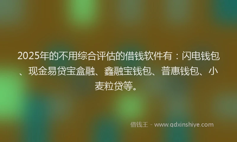 2025年的不用综合评估的借钱软件有：闪电钱包、现金易贷宝盒融、鑫融宝钱包、普惠钱包、小麦粒贷等。