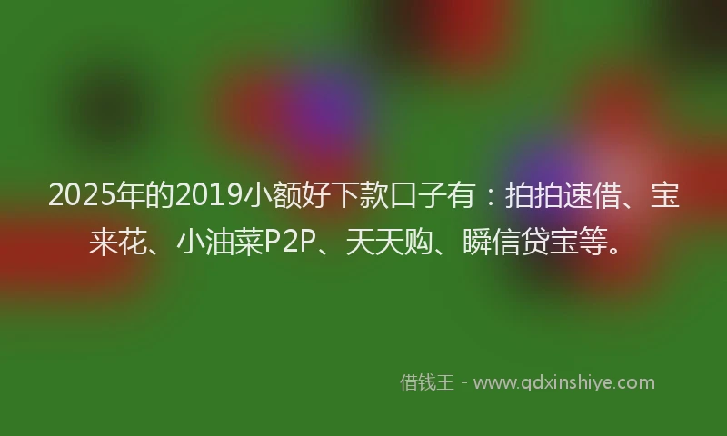2025年的2019小额好下款口子有：拍拍速借、宝来花、小油菜P2P、天天购、瞬信贷宝等。