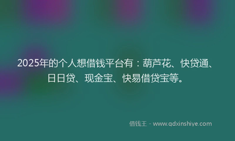 2025年的个人想借钱平台有：葫芦花、快贷通、日日贷、现金宝、快易借贷宝等。