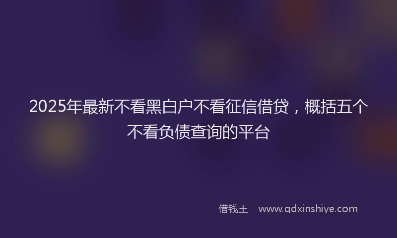 2025年最新不看黑白户不看征信借贷，概括五个不看负债查询的平台