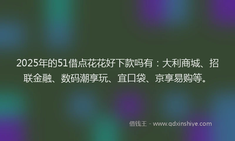 2025年的51借点花花好下款吗有：大利商城、招联金融、数码潮享玩、宜口袋、京享易购等。