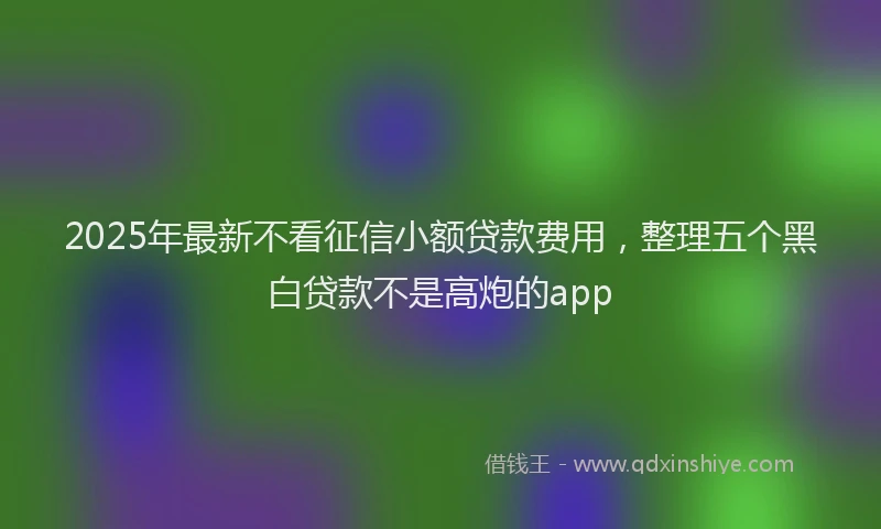 2025年最新不看征信小额贷款费用，整理五个黑白贷款不是高炮的app