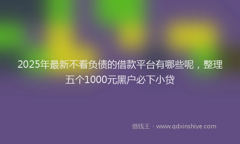 2025年最新不看负债的借款平台有哪些呢，整理五个1000元黑户必下小贷