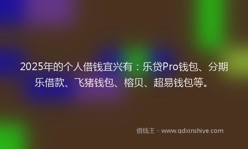 2025年的个人借钱宜兴有：乐贷Pro钱包、分期乐借款、飞猪钱包、榕贝、超易钱包等。